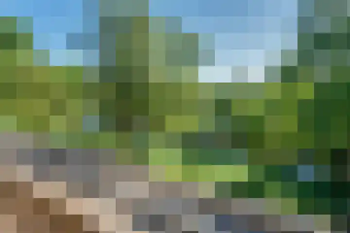 Hora Siccamasingel 12 Groningen thumbnail 24