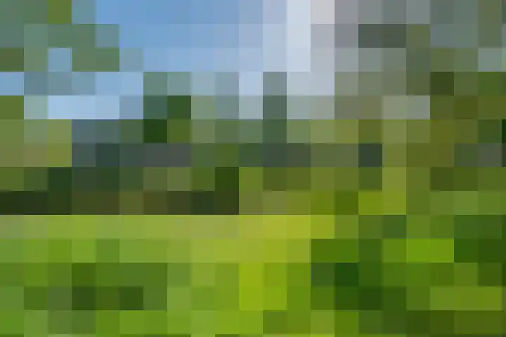 Hora Siccamasingel 12 Groningen thumbnail 26