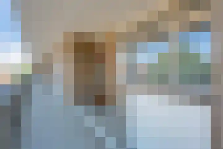 Hora Siccamasingel 12 Groningen thumbnail 8