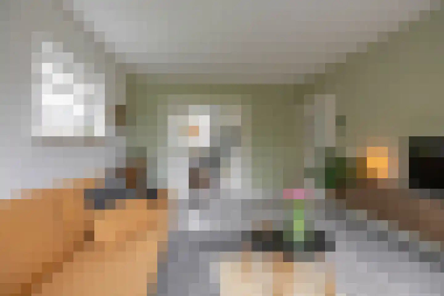 Hora Siccamasingel 123 Groningen thumbnail 13