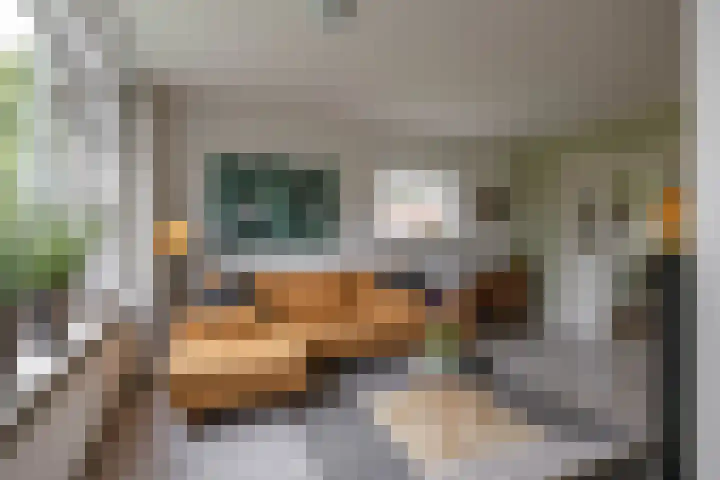 Hora Siccamasingel 123 Groningen thumbnail 14