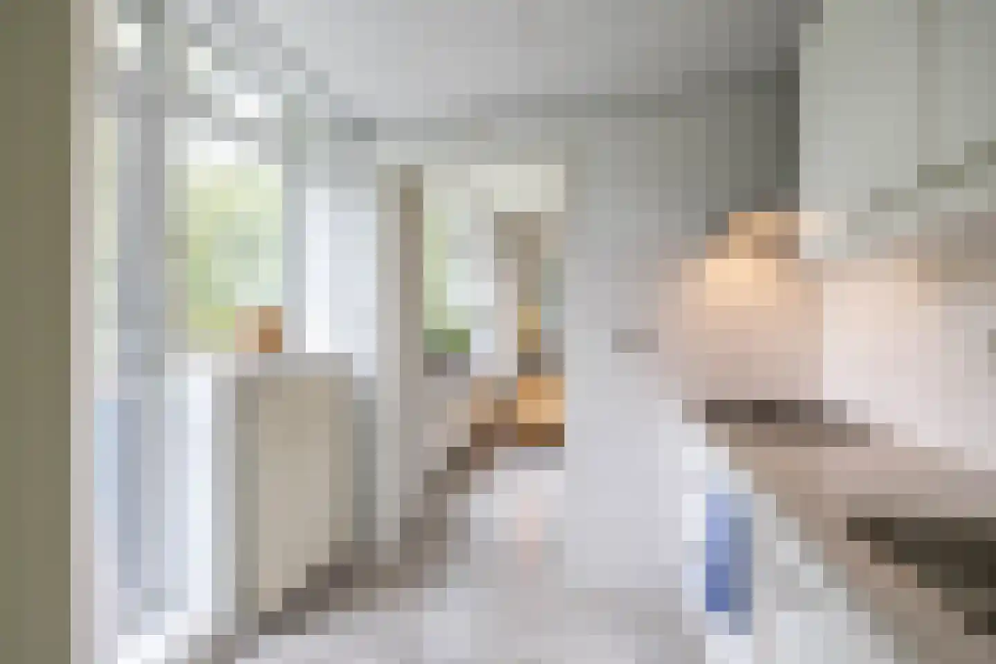 Hora Siccamasingel 123 Groningen thumbnail 17