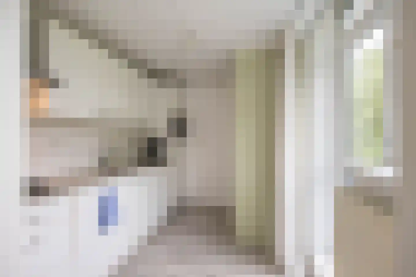 Hora Siccamasingel 123 Groningen thumbnail 19
