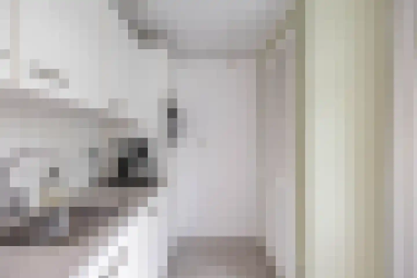 Hora Siccamasingel 123 Groningen thumbnail 20