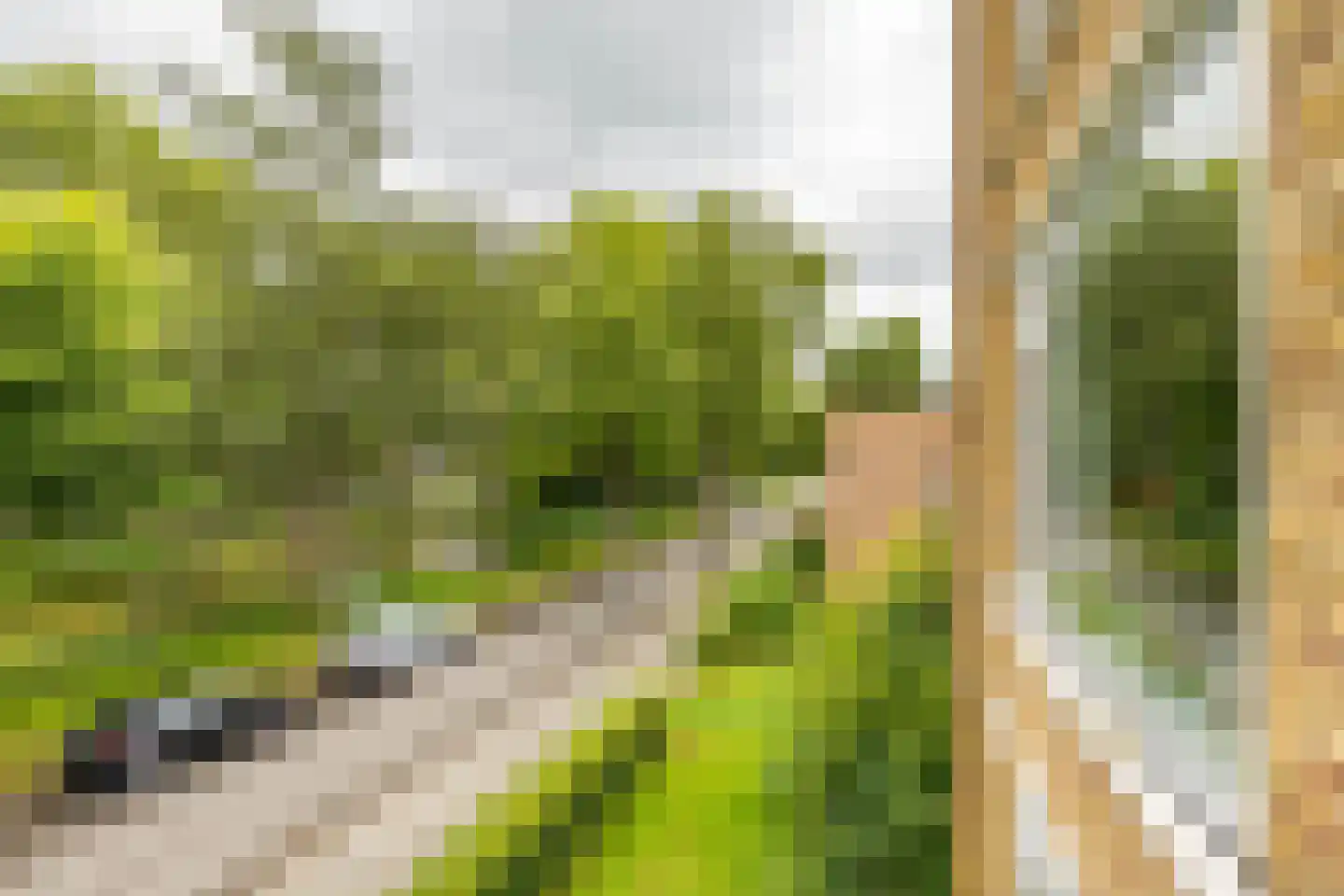 Hora Siccamasingel 123 Groningen thumbnail 22