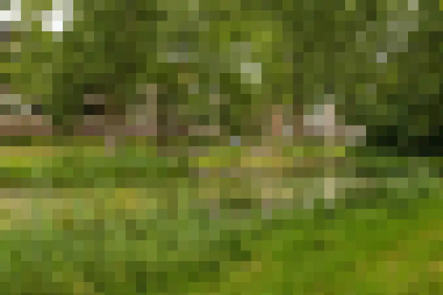 Hora Siccamasingel 123 Groningen thumbnail 32