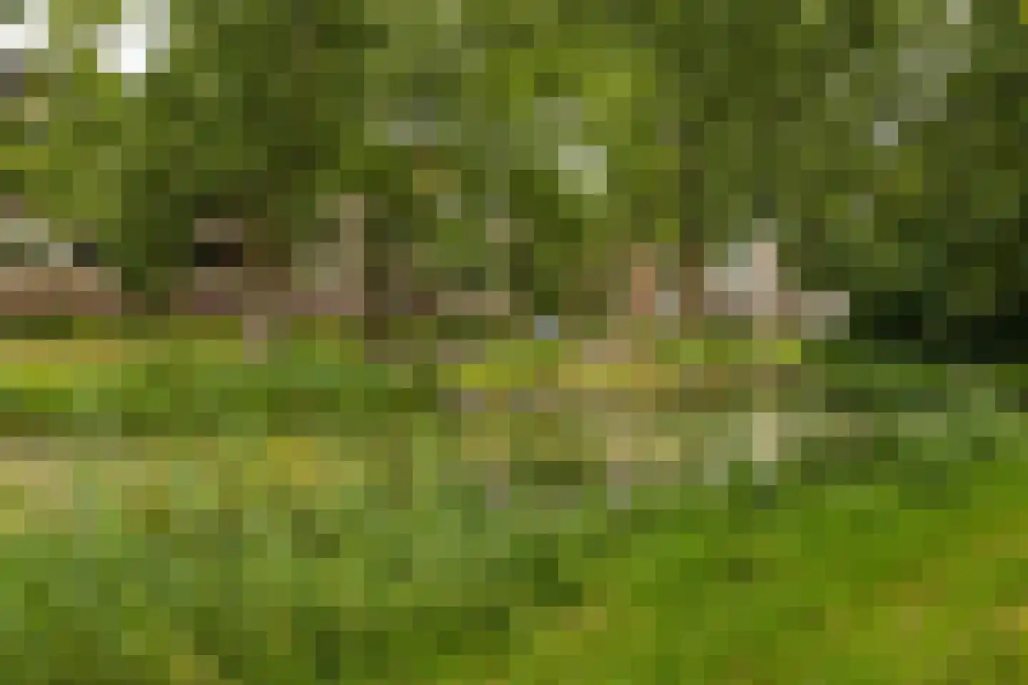 Hora Siccamasingel 123 Groningen thumbnail 36