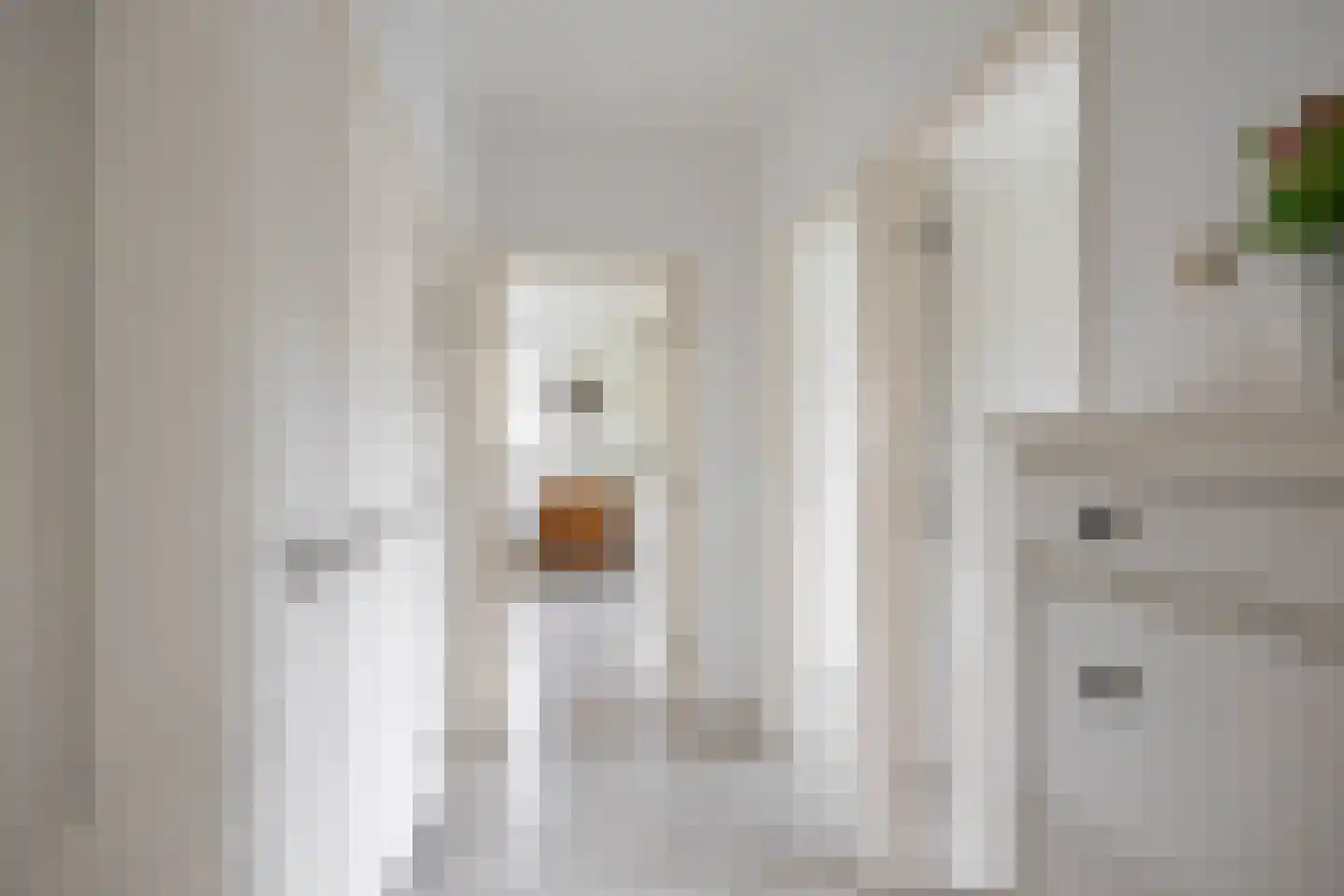 Hora Siccamasingel 123 Groningen thumbnail 7