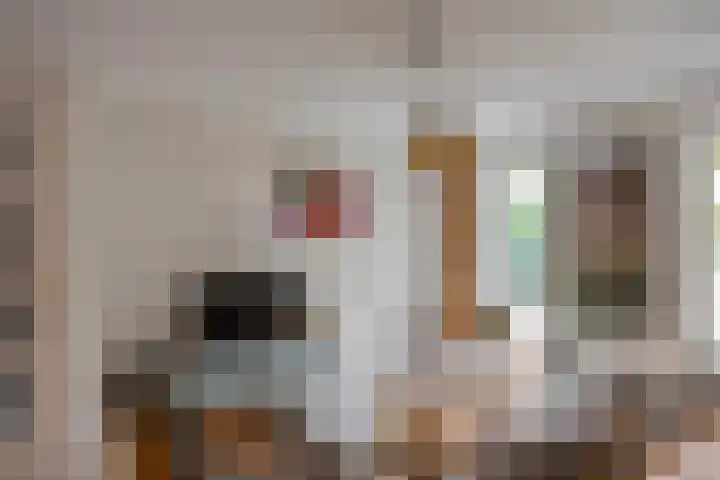 Hora Siccamasingel 135 Groningen thumbnail 10