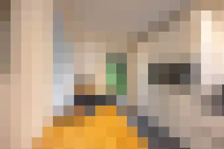 Hora Siccamasingel 135 Groningen thumbnail 18