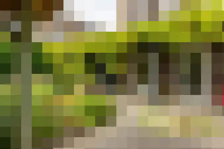 Hora Siccamasingel 135 Groningen thumbnail 21