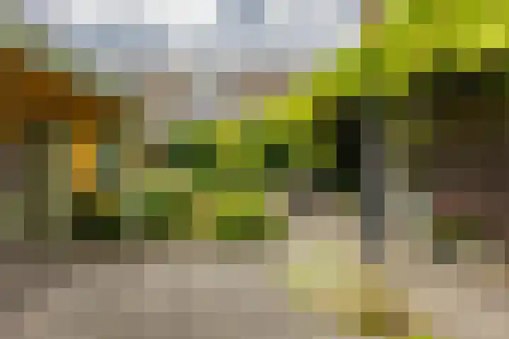 Hora Siccamasingel 135 Groningen thumbnail 22
