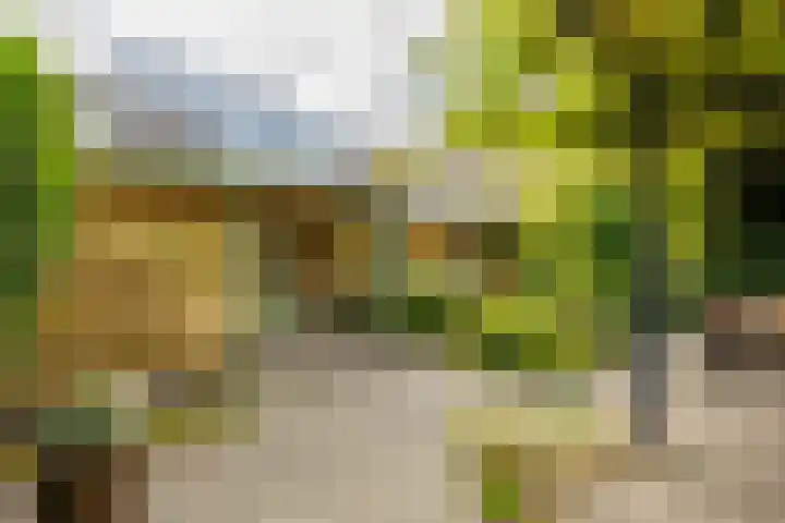Hora Siccamasingel 135 Groningen thumbnail 23