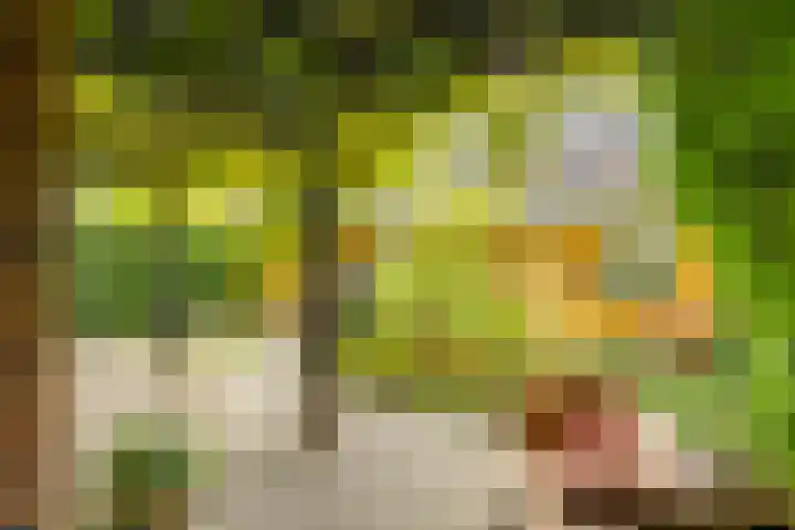 Hora Siccamasingel 135 Groningen thumbnail 24