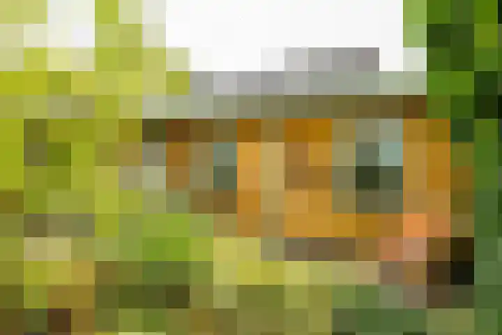 Hora Siccamasingel 135 Groningen thumbnail 25