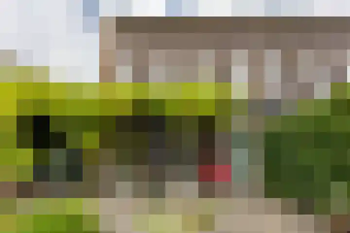 Hora Siccamasingel 135 Groningen thumbnail 27