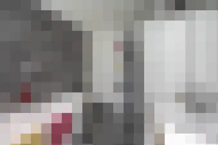 Hora Siccamasingel 135 Groningen thumbnail 38