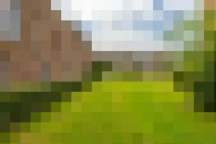 Hora Siccamasingel 135 Groningen thumbnail 4