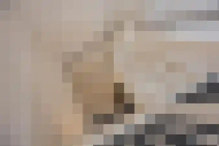 Hora Siccamasingel 135 Groningen thumbnail 41