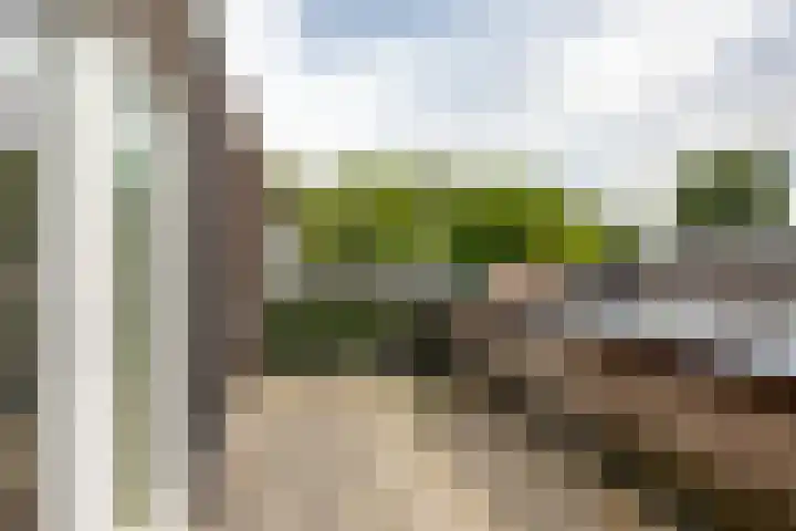 Hora Siccamasingel 135 Groningen thumbnail 46