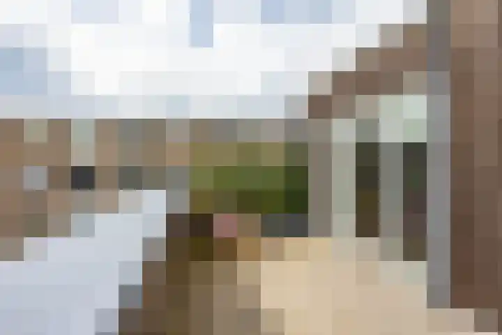 Hora Siccamasingel 135 Groningen thumbnail 47