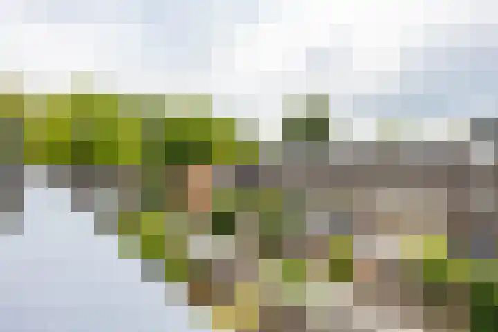 Hora Siccamasingel 135 Groningen thumbnail 48
