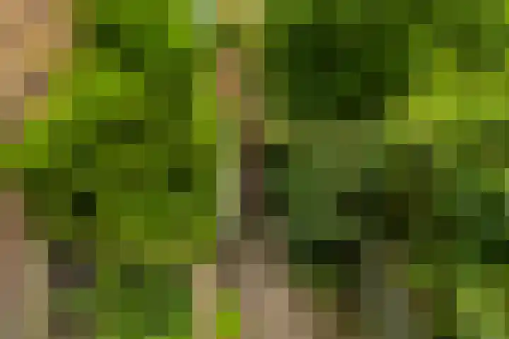 Hora Siccamasingel 135 Groningen thumbnail 49