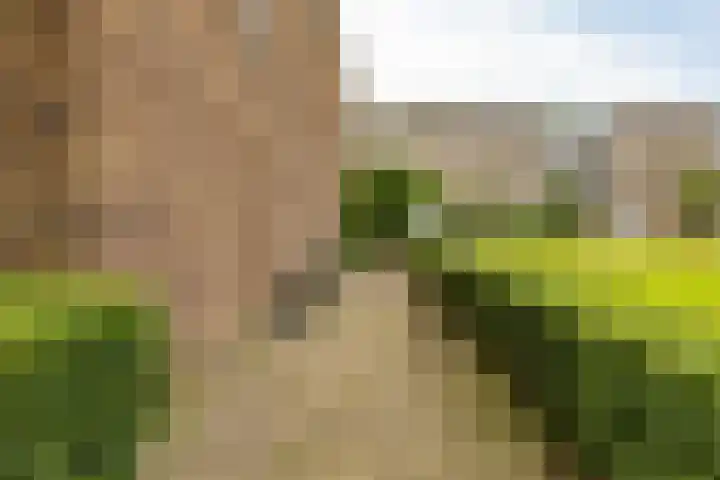 Hora Siccamasingel 135 Groningen thumbnail 5