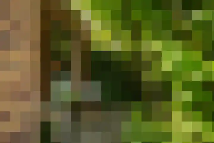 Hora Siccamasingel 135 Groningen thumbnail 50