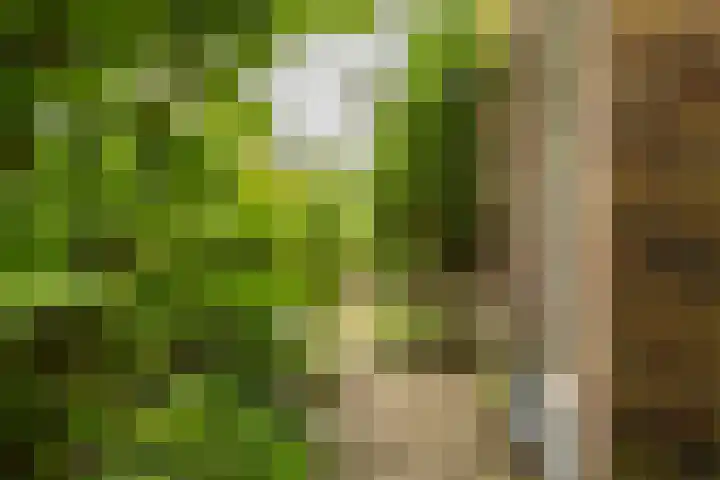 Hora Siccamasingel 135 Groningen thumbnail 51