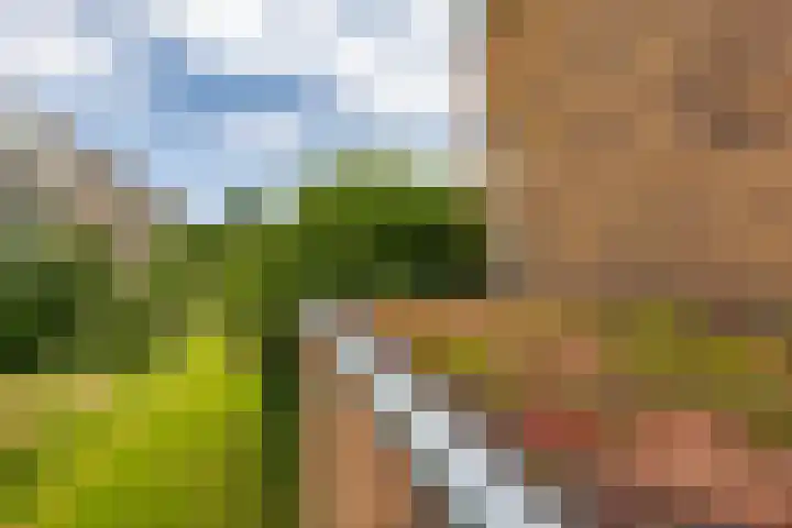 Hora Siccamasingel 135 Groningen thumbnail 52
