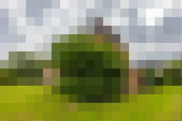 Hora Siccamasingel 135 Groningen thumbnail 54