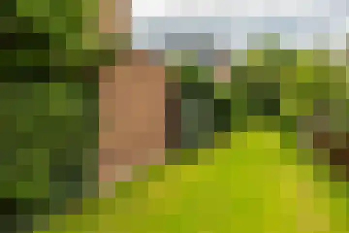 Hora Siccamasingel 135 Groningen thumbnail 55
