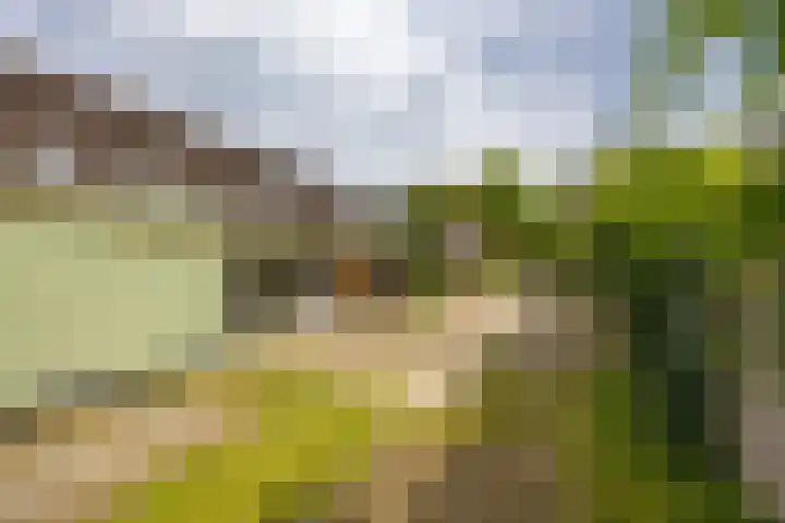 Hora Siccamasingel 135 Groningen thumbnail 56