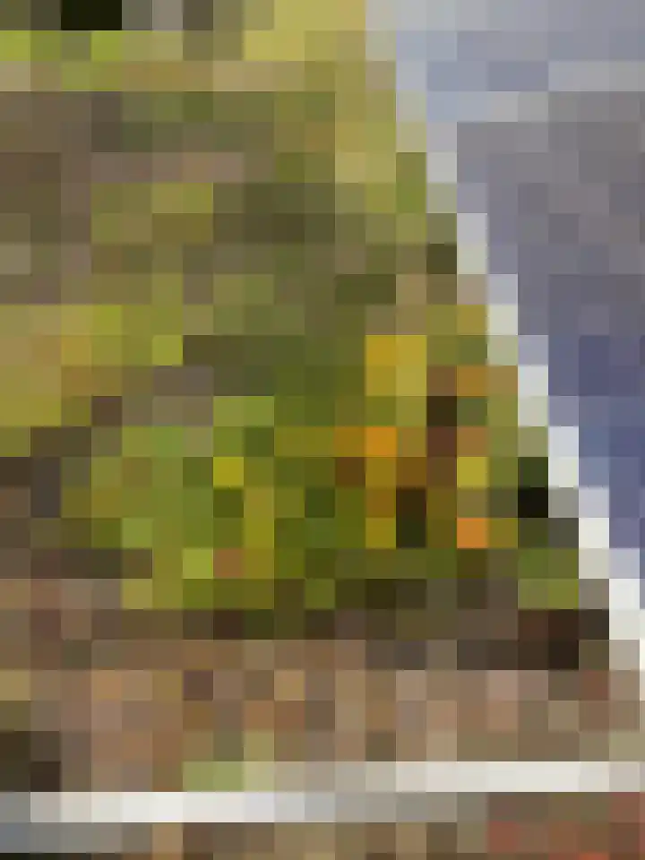 Hora Siccamasingel 135 Groningen thumbnail 57
