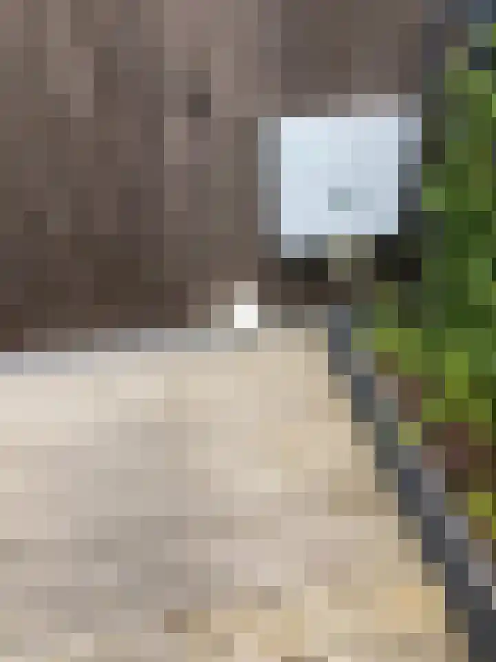 Hora Siccamasingel 135 Groningen thumbnail 58