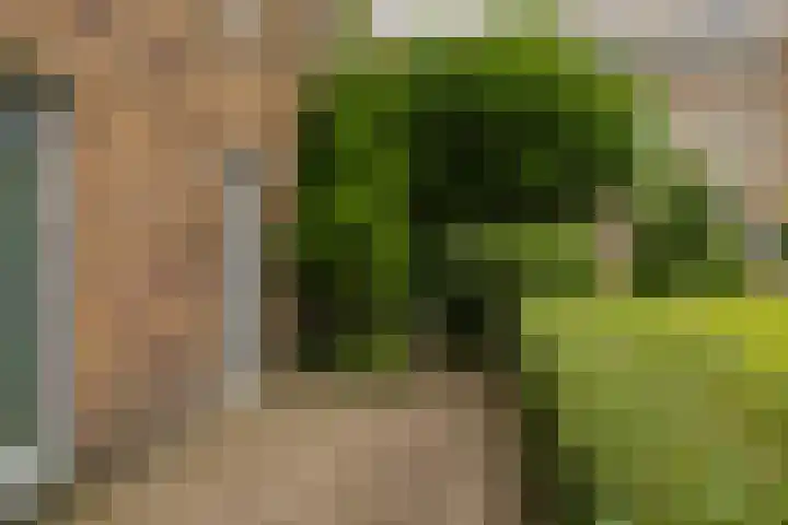 Hora Siccamasingel 135 Groningen thumbnail 6