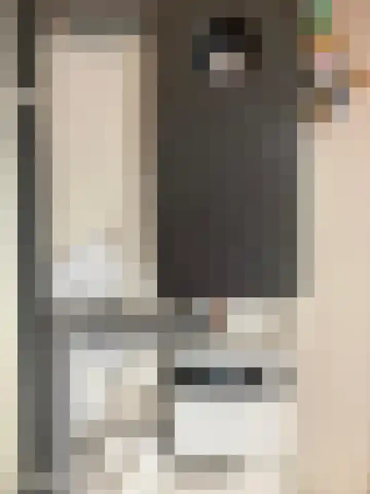 Hora Siccamasingel 135 Groningen thumbnail 60