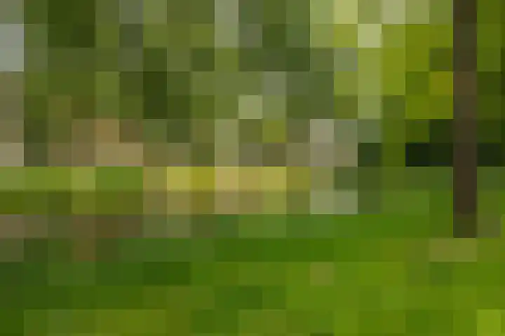 Hora Siccamasingel 135 Groningen thumbnail 65