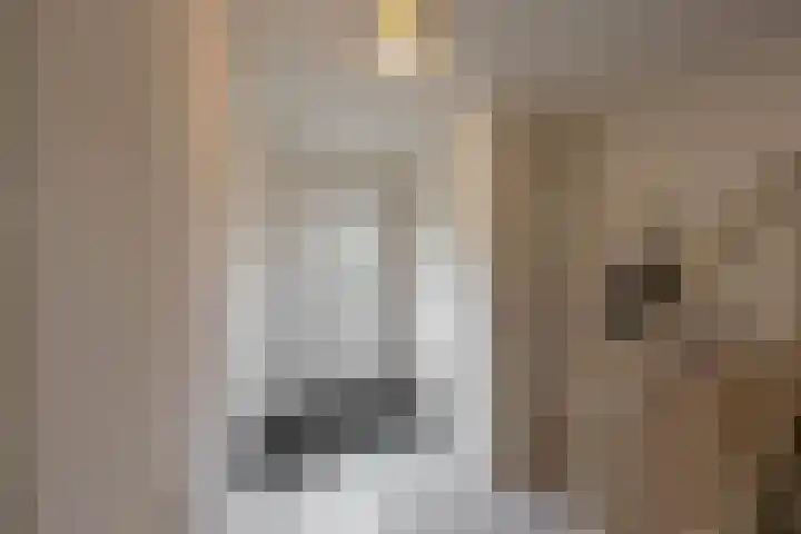 Hora Siccamasingel 135 Groningen thumbnail 7
