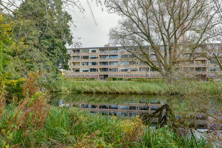 Hora Siccamasingel 14 in Groningen foto