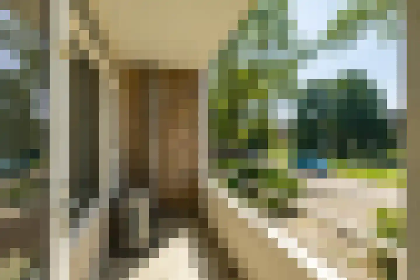 Hora Siccamasingel 212 Groningen thumbnail 11