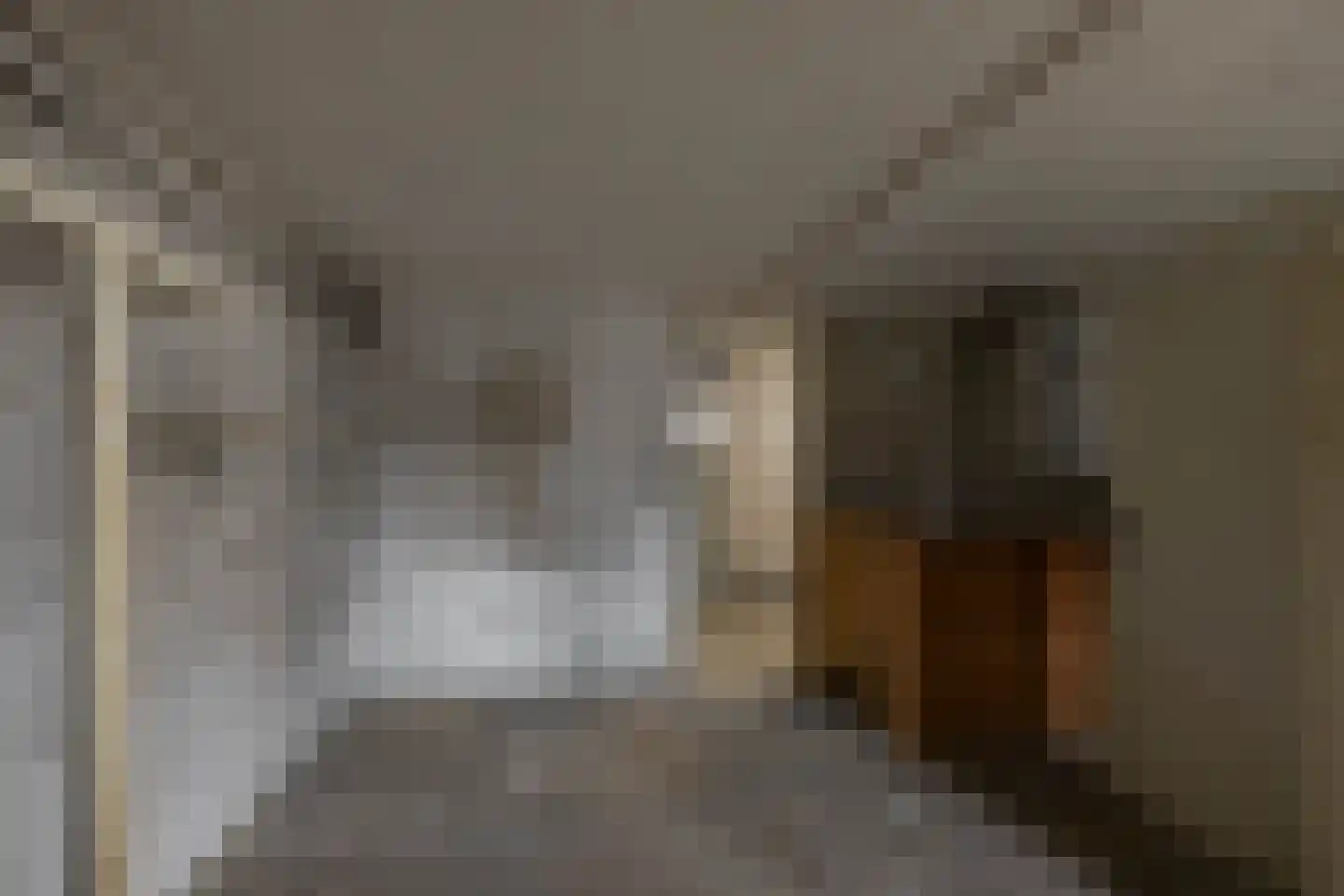 Hora Siccamasingel 212 Groningen thumbnail 30
