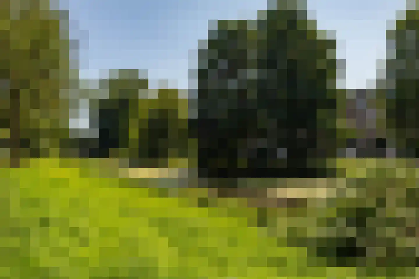 Hora Siccamasingel 212 Groningen thumbnail 4