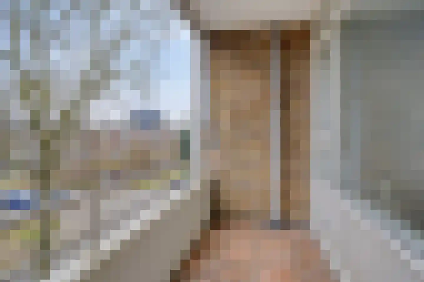 Hora Siccamasingel 218 Groningen thumbnail 13