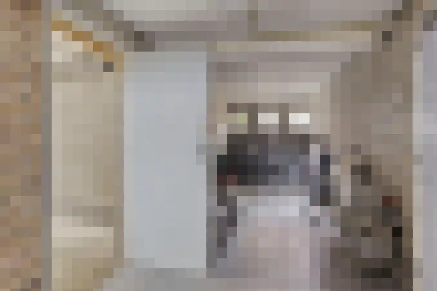 Hora Siccamasingel 218 Groningen thumbnail 25