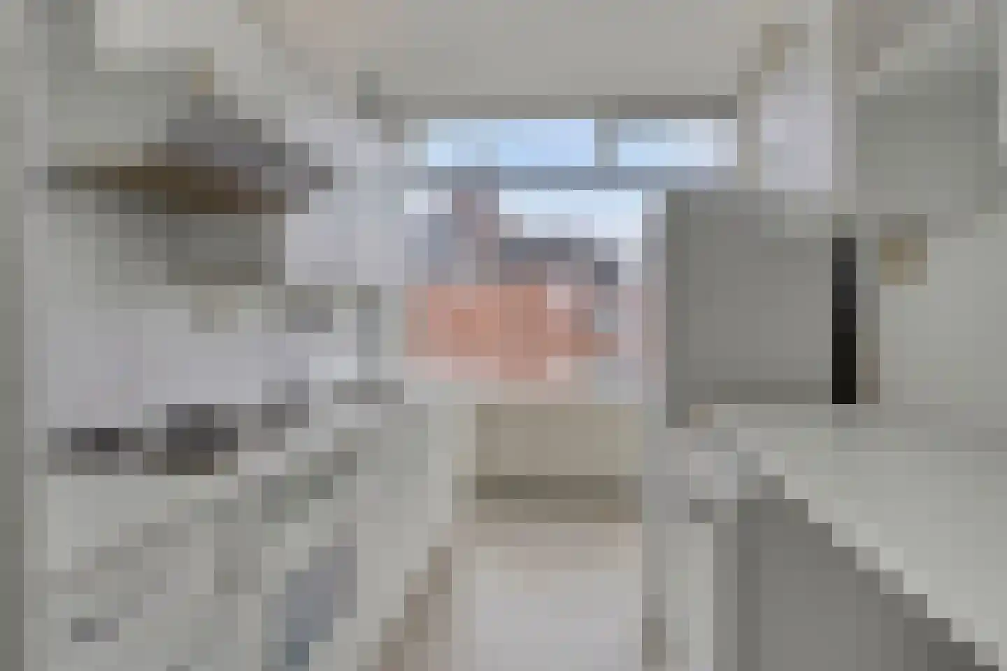 Hora Siccamasingel 218 Groningen thumbnail 4