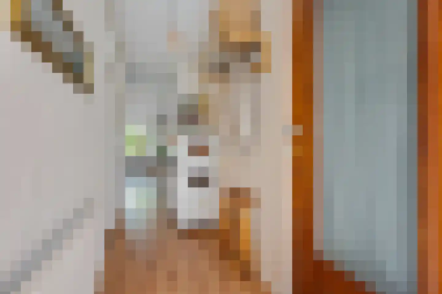 Hora Siccamasingel 22 Groningen thumbnail 10