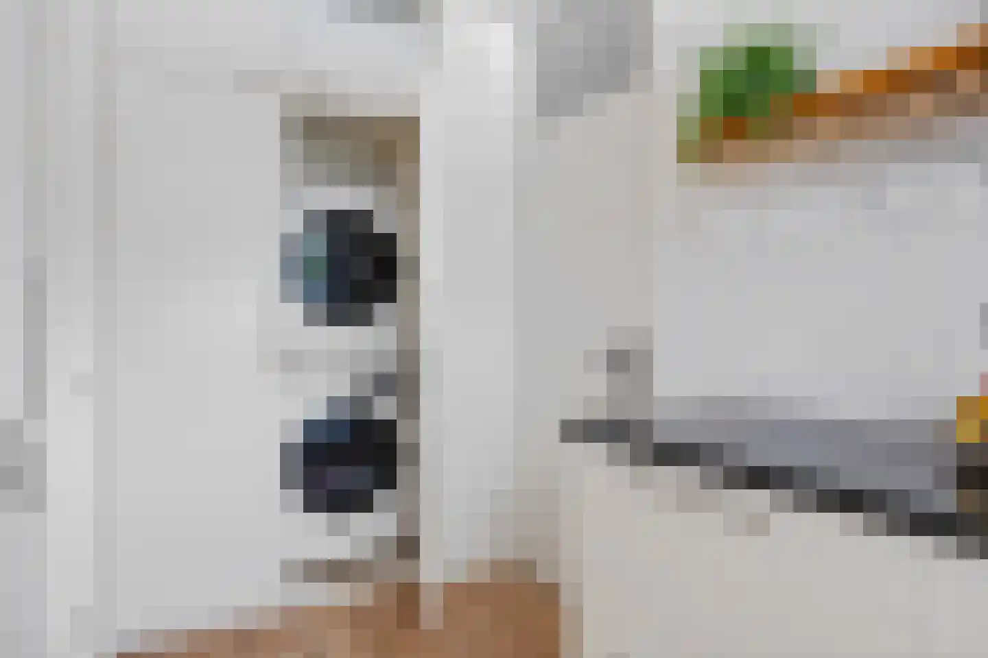 Hora Siccamasingel 22 Groningen thumbnail 16