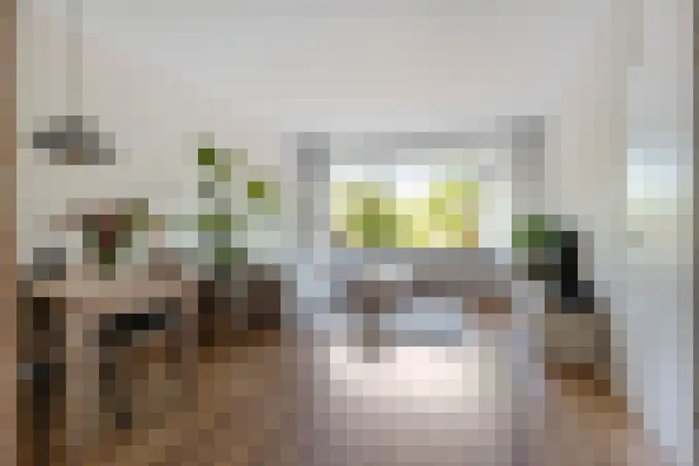 Hora Siccamasingel 22 Groningen thumbnail 17